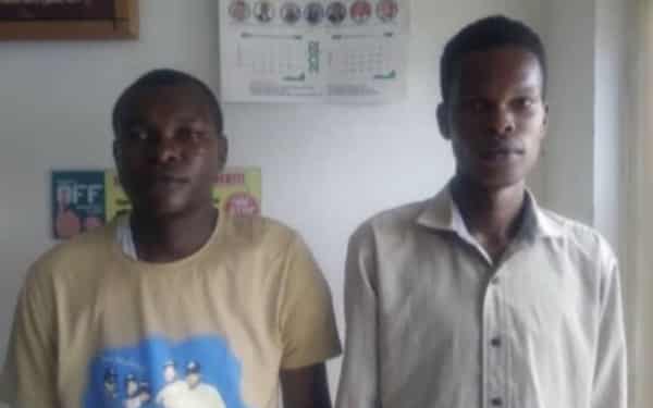 7674820b-a122-41af-8a6b-33d96f690abd