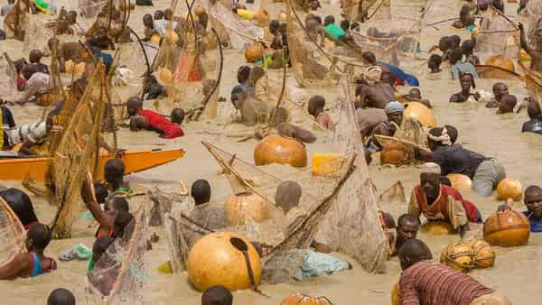Argungu-fishing-festival-1
