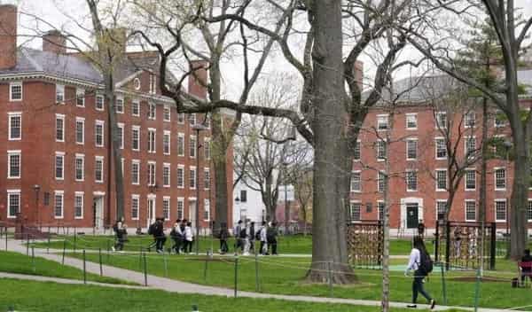 Screenshot_20240529-203750~2