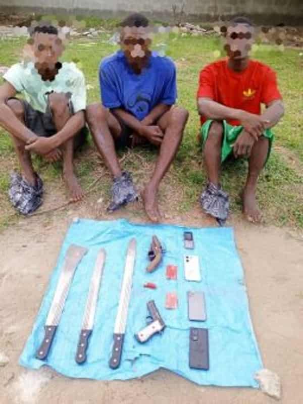 20240607_134055-255×340