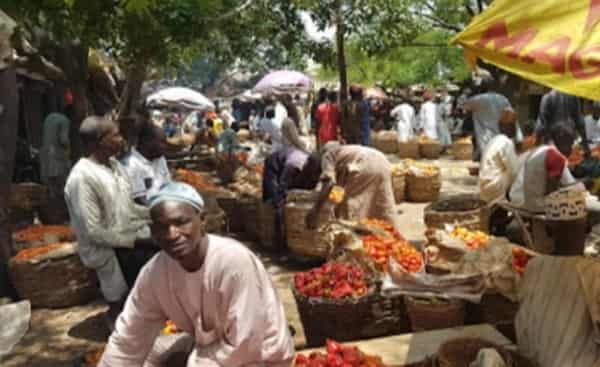 dECktkpTURBXy9iNjAxZGY4MmFjNGQxMTllYjA5Yjg2MzEwYzg2ZmFmYi5wbmeSlQMAGs0B180BCJMFzQSwzQJ2 copy