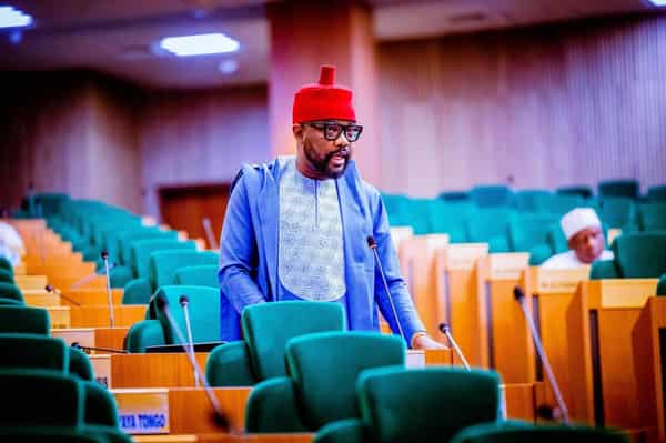 Ikenga-Imo-Ugochinyere-2