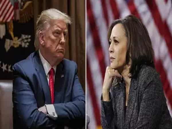 trump-kamala-harris