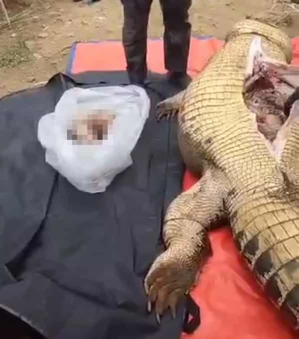 2723caed-e15c-47bb-9b58-c58990adfe28