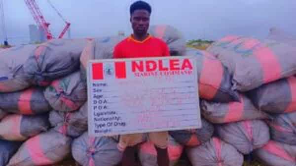 IMG-20240829-WA0013-300×169