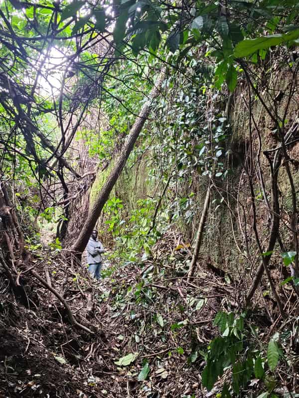 WhatsApp Image 2024-08-15 at 14.19.48_2db7c5bd