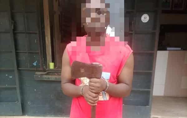 20240911_112017-744×470