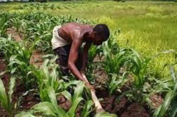 5-19-2021-11-25-00-PM-5331475