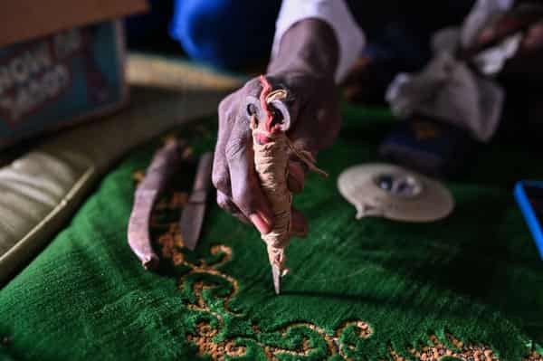 ICOAST-SOCIETY-WOMEN-BELIEF-LAW