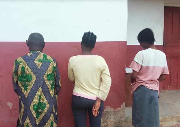 IMG-20240916-WA0004~2