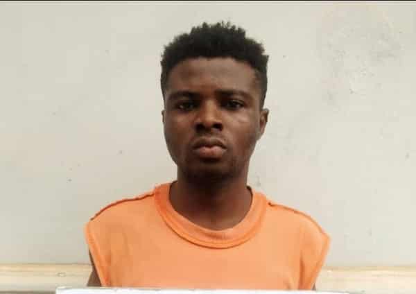 WhatsApp Image 2024-09-10 at 14.33.29_8cc16382