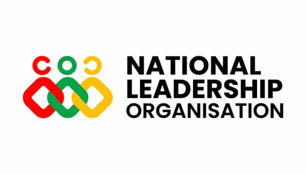 NLO Logo