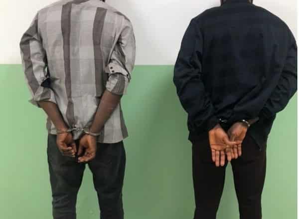 IMG-20241111-WA0016~2