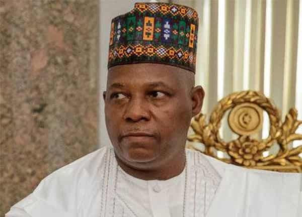Shettima1-e1546374521767-1