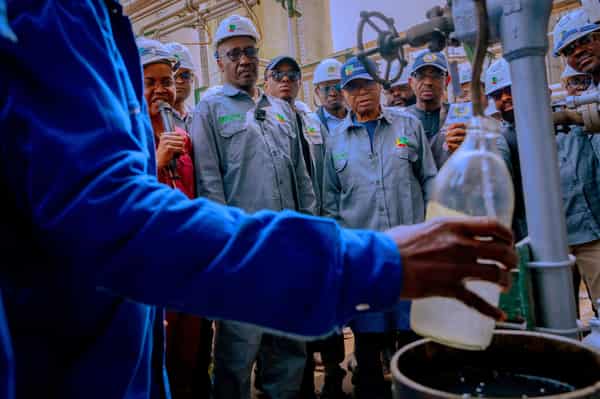 Page 6 Pix 31-12-2024 ok