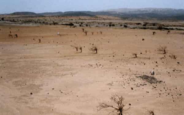 Desertification