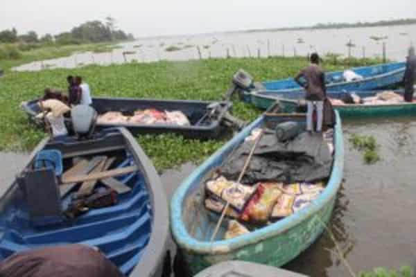 IMG-20250209-WA0005-300×200