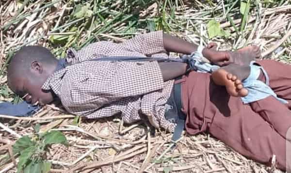 WhatsApp Image 2025-02-21 at 12.29.23_f933a16e