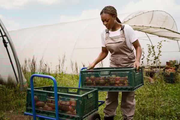 full-shot-woman-holding-box