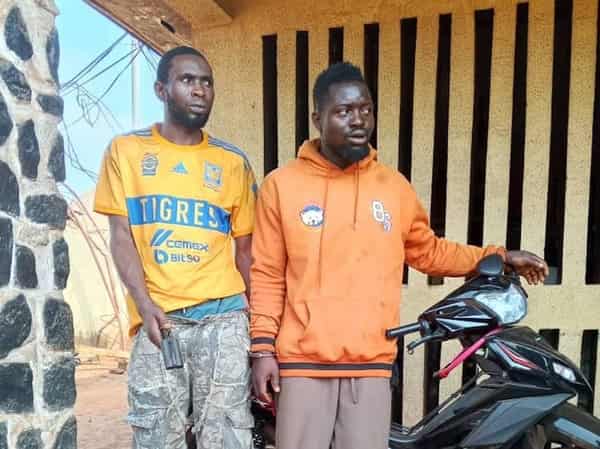 img-20250206-wa0029_720