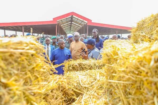 WhatsApp Image 2025-03-09 at 15.34.52_7099014e