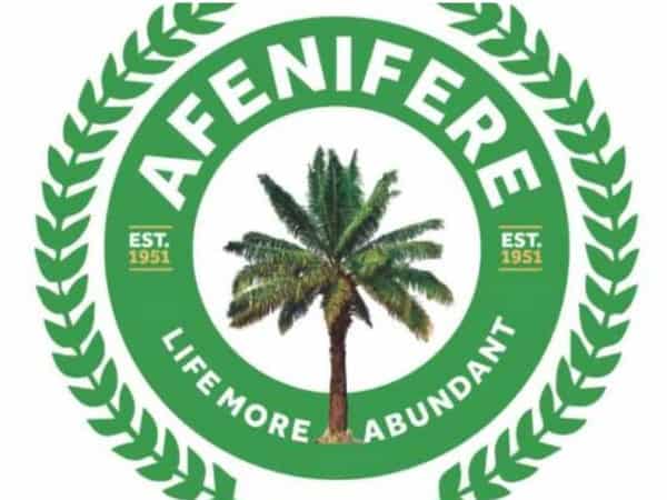 Afenifere-1
