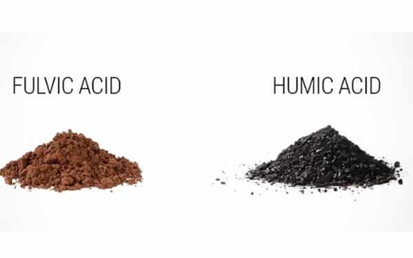 Screenshot-2025-04-16-225015