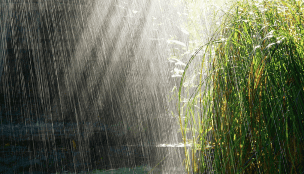 rainfall-750×430