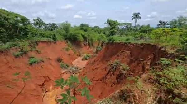 WhatsApp Image 2025-05-20 at 14.48.26_7f274efe