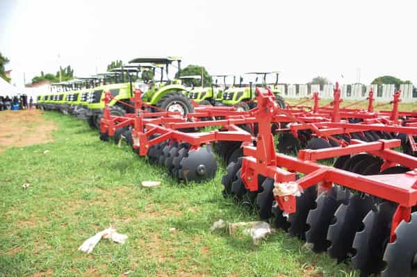 whatsapp_image_2025-05-08_at_17.42.55_b2523734