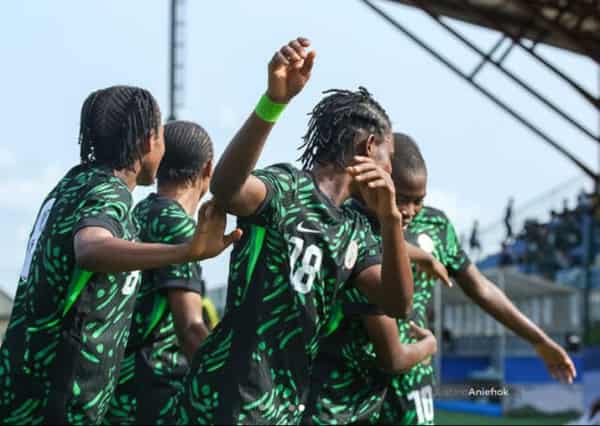 flamingos-of-nigeria