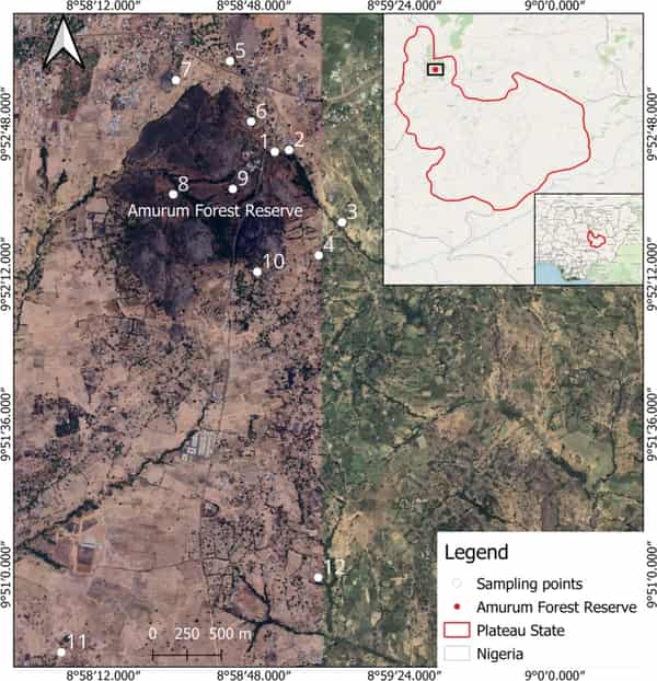 41598_2025_10556_Fig1_HTML