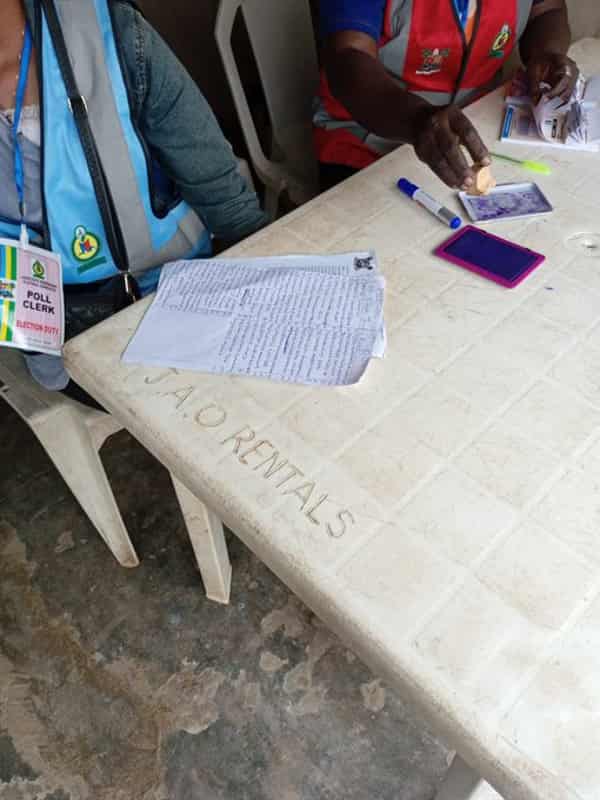 Lagos LG polls-election (6)