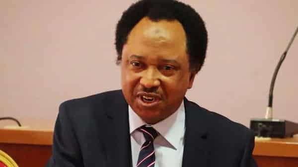 Shehu-Sani1
