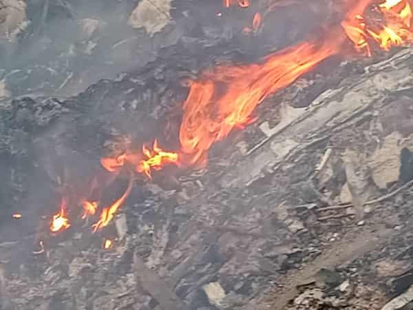 WhatsApp-Image-2025-08-06-at-1.49.47-PM