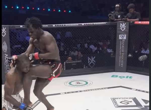 ea44bfe8-584e-4703-b985-a155018d8777