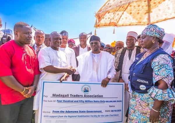 Adamawa, UNDP empower 2,500 households for post-insurgency recovery