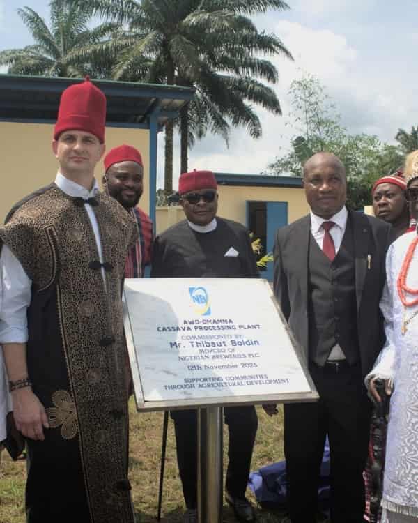 Imo_Breweries-819×1024-Awa-Omamma