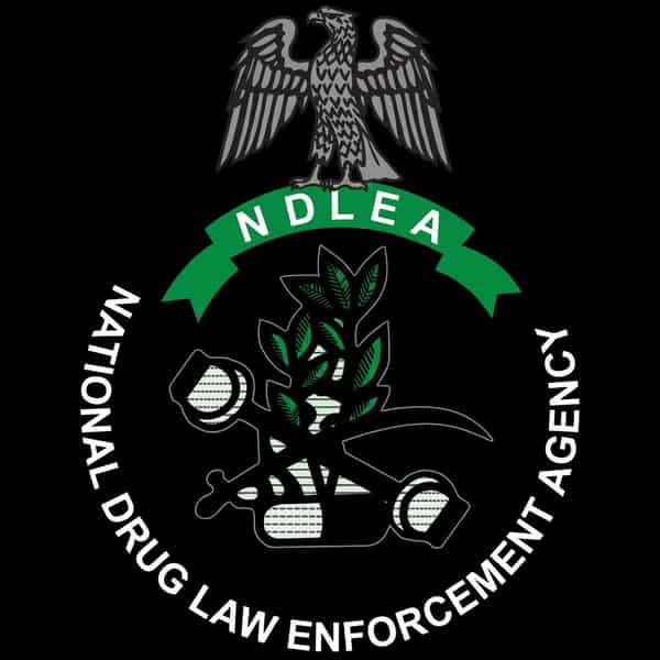 National Drug Law Enforcement Agency logo