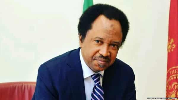 Former senator, Shehu Sani,
