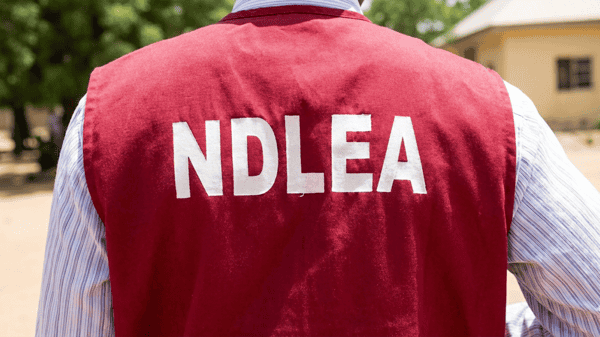 The National Drug Law Enforcement Agency (NDLEA)