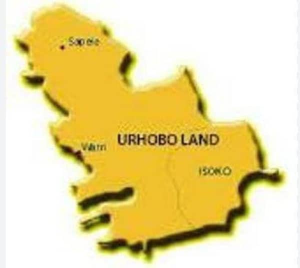 images – 2025-02-17T073156.530