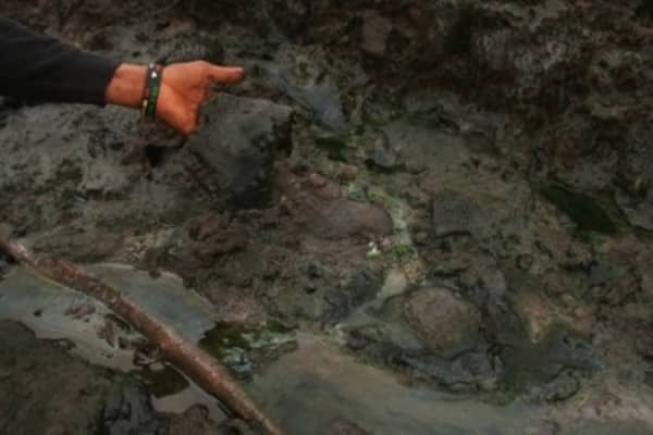 Deposit-of-oil-spills-in-KOLGBA-Village-in-Bado-City-River-State