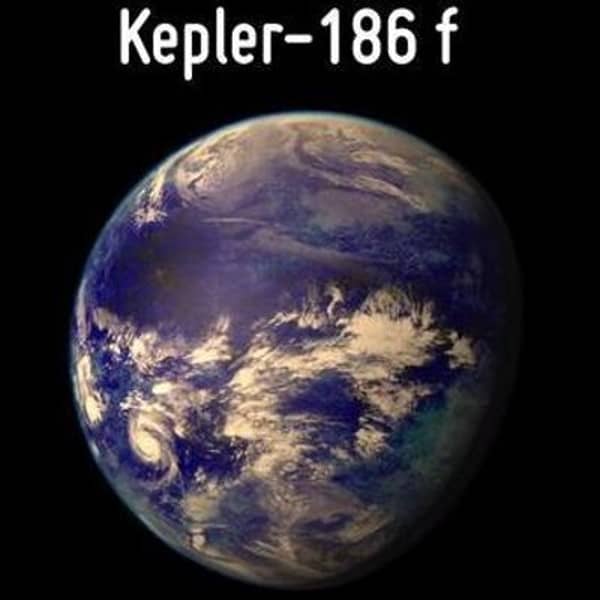 Kepler- 186 f. twitter