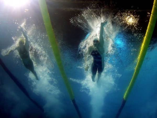 professional swimming pool size-cluburb