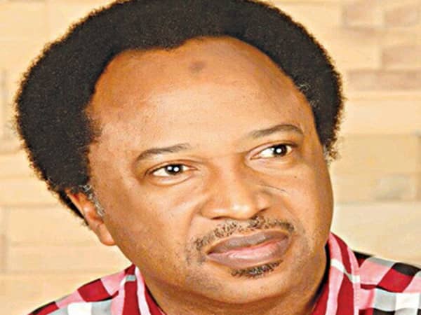 Shehu Sani