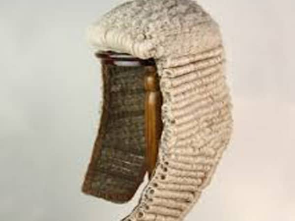 Chief Judge wig