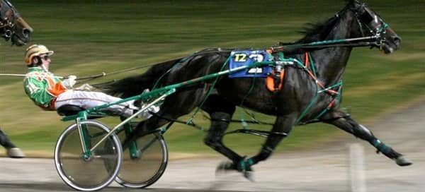 briarcliffe-harness-racing-2-panorama