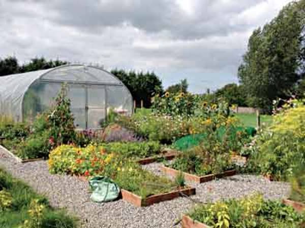 Kilmallock-Horticulture-Tunnel-2