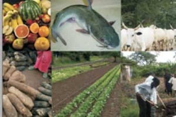 agric-organic